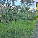 펜션 Casa Gli Ulivi Montepulciano Stazione