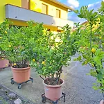 펜션 Casa Gli Ulivi Montepulciano Stazione