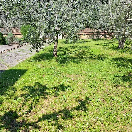 Casa Gli Ulivi