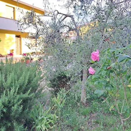 Casa Gli Ulivi Holiday home Montepulciano