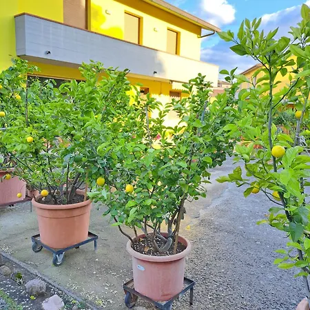 Holiday home Casa Gli Ulivi Montepulciano